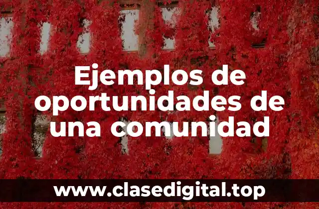 Ejemplos de oportunidades de una comunidad