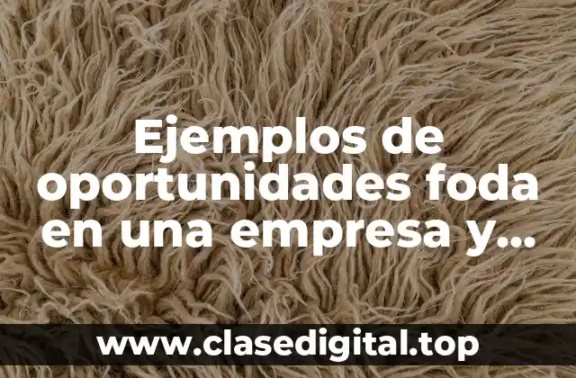 Ejemplos de oportunidades foda en una empresa y Significado