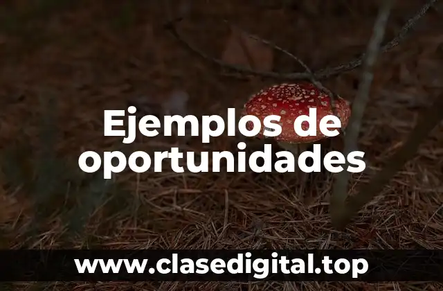 Ejemplos de oportunidades