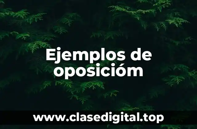 Ejemplos de oposicióm