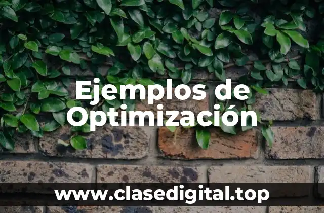 Ejemplos de Optimización