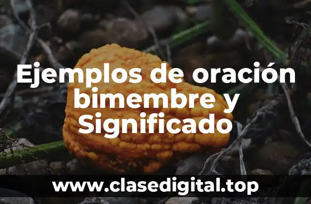 Ejemplos de oración bimembre y Significado