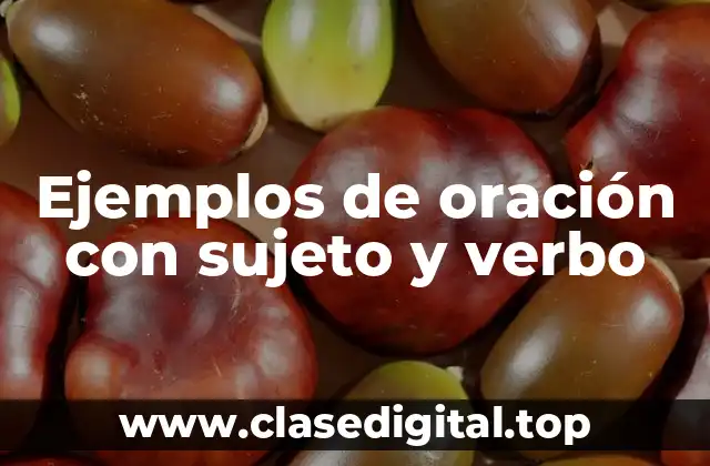 Ejemplos de oración con sujeto y verbo