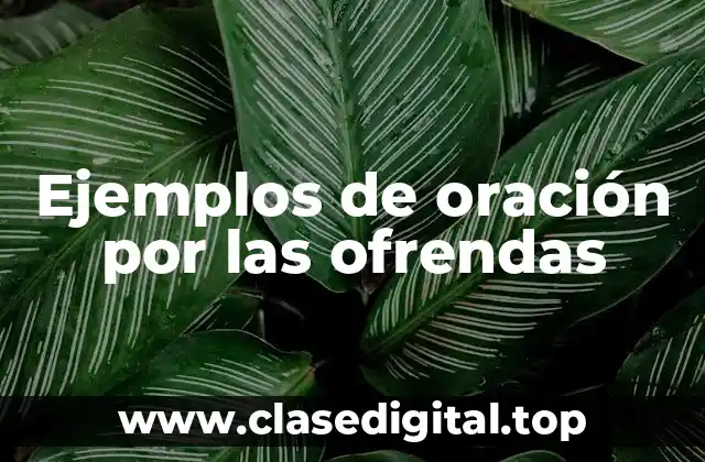Ejemplos de oración por las ofrendas