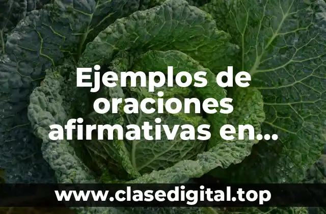 Ejemplos de oraciones afirmativas en pasado simple