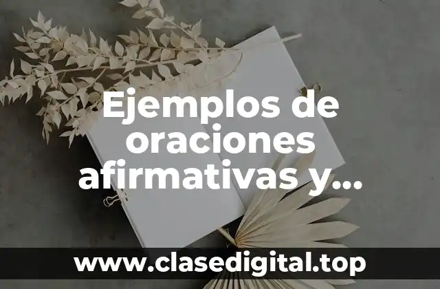 Ejemplos de oraciones afirmativas y negativas en inglés