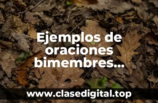 Ejemplos de oraciones bimembres analizadas sintacticamente