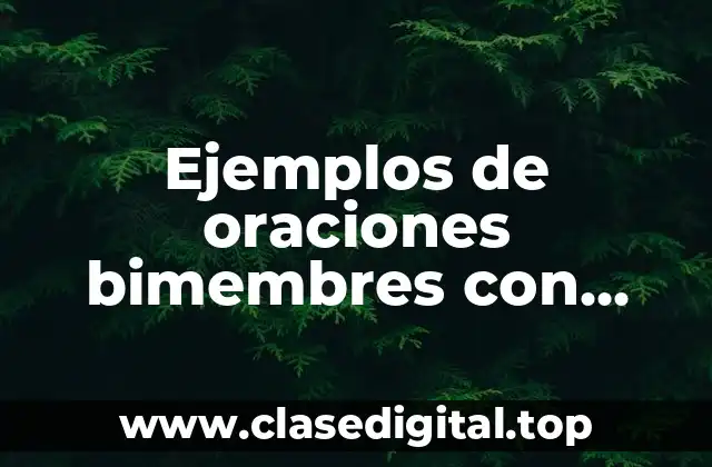 Ejemplos de oraciones bimembres con sujeto y predicado