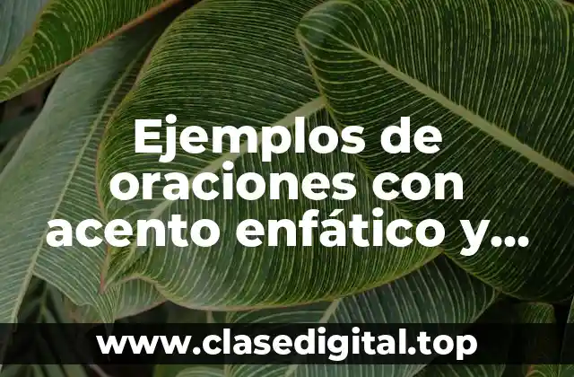 Ejemplos de oraciones con acento enfático y diacrítico