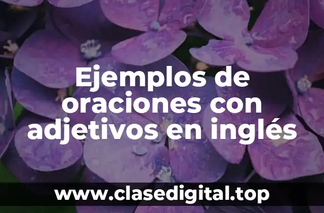 Ejemplos de oraciones con adjetivos en inglés