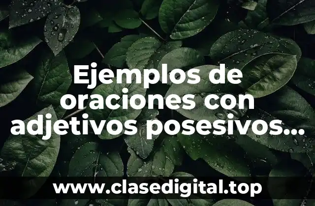 Ejemplos de oraciones con adjetivos posesivos en español