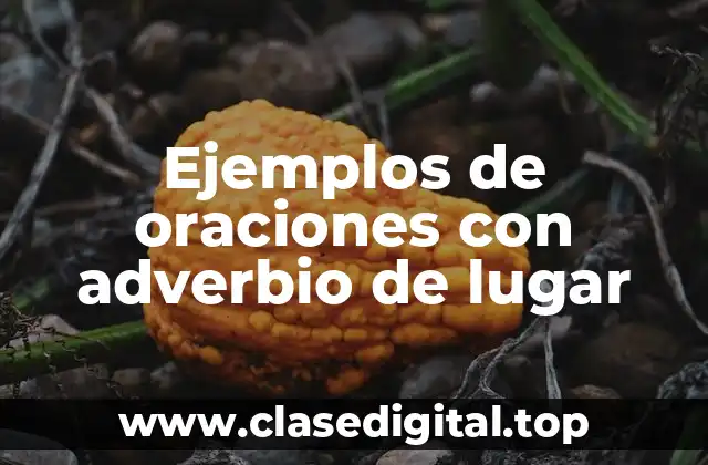 Ejemplos de oraciones con adverbio de lugar