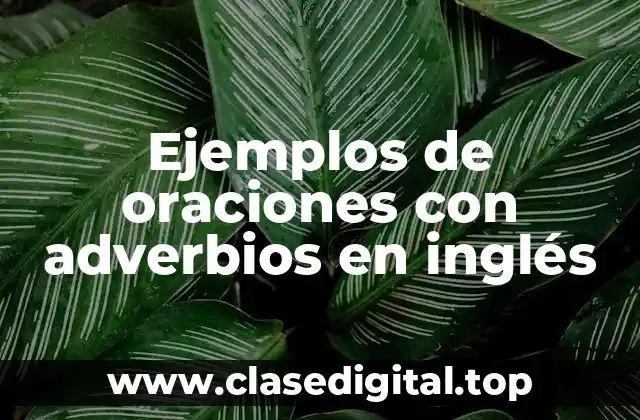 Ejemplos de oraciones con adverbios en inglés