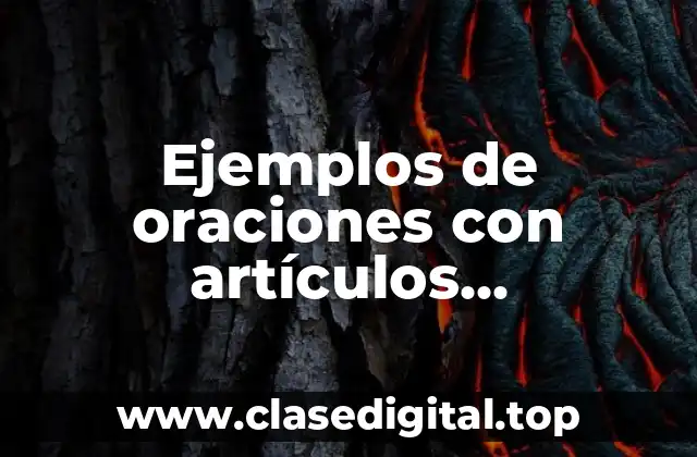 Ejemplos de oraciones con artículos determinados