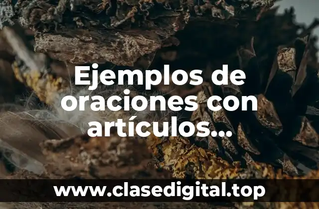 Ejemplos de oraciones con artículos determinados e indeterminados