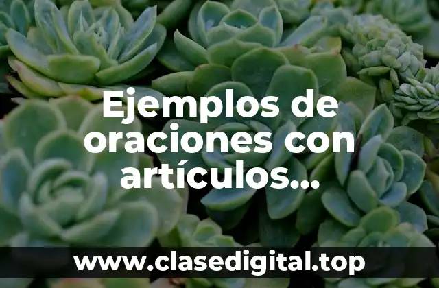 Ejemplos de oraciones con artículos indeterminados