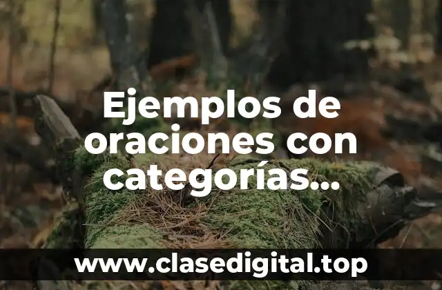 Ejemplos de oraciones con categorías gramaticales