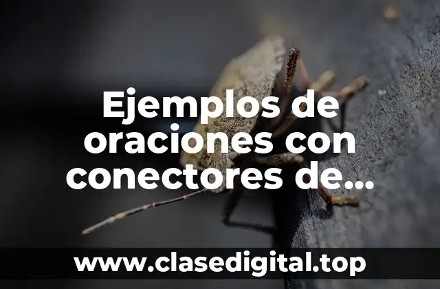 Ejemplos de oraciones con conectores de digresión