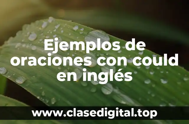 Ejemplos de oraciones con could en inglés