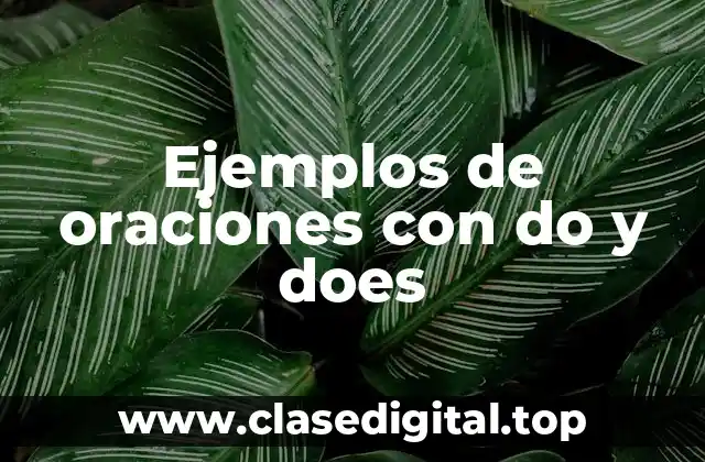 Ejemplos de oraciones con do y does