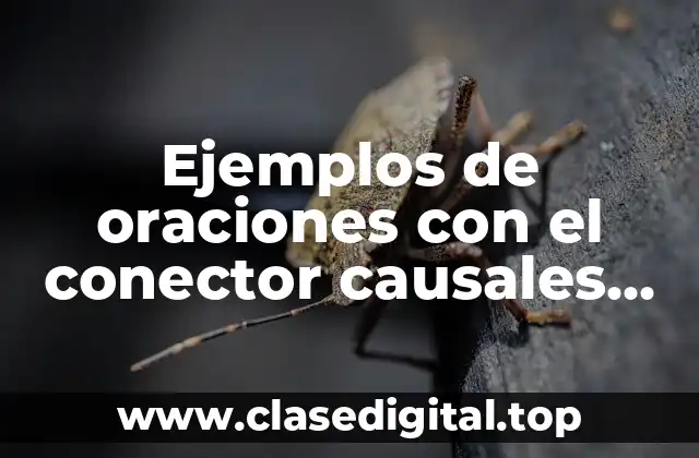 Ejemplos de oraciones con el conector causales ingles y español