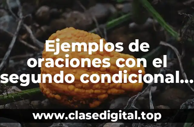 Ejemplos de oraciones con el segundo condicional en inglés