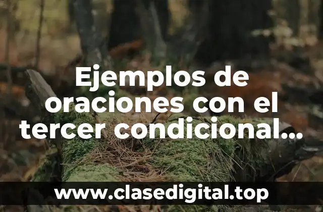 Ejemplos de oraciones con el tercer condicional en inglés