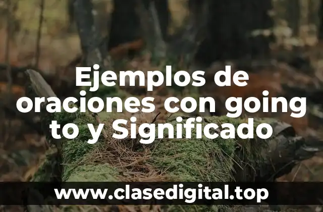 Ejemplos de oraciones con going to