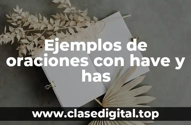 Ejemplos de oraciones con have y has