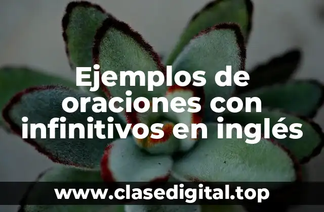 Ejemplos de oraciones con infinitivos en inglés