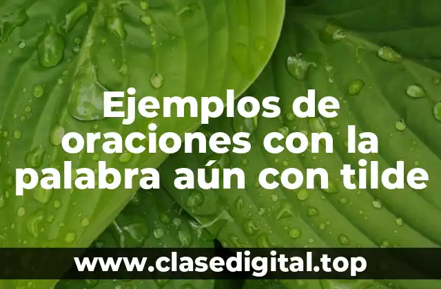 Ejemplos de oraciones con la palabra aún con tilde