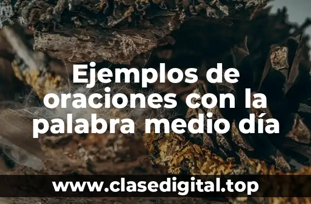 Ejemplos de oraciones con la palabra medio día