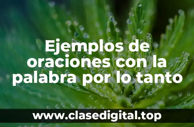 Ejemplos de oraciones con la palabra por lo tanto