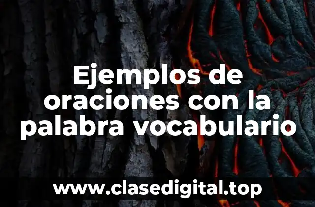 Ejemplos de oraciones con la palabra vocabulario