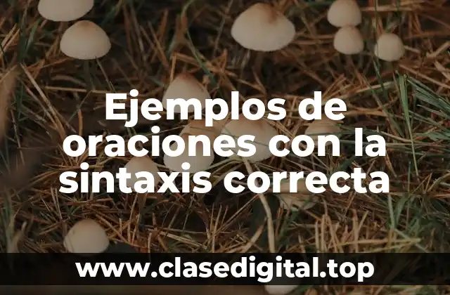Ejemplos de oraciones con la sintaxis correcta