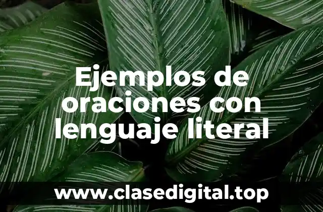 Ejemplos de oraciones con lenguaje literal