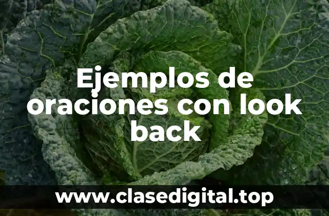 Ejemplos de oraciones con look back
