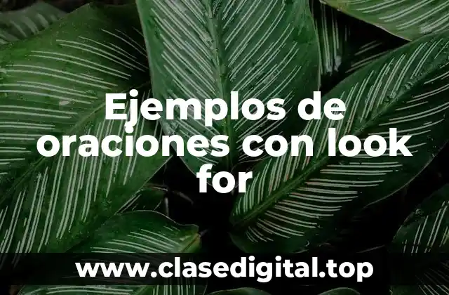 Ejemplos de oraciones con look for