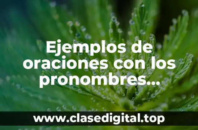 Ejemplos de oraciones con los pronombres personales