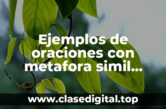 Ejemplos de oraciones con metafora simil personificación y Significado