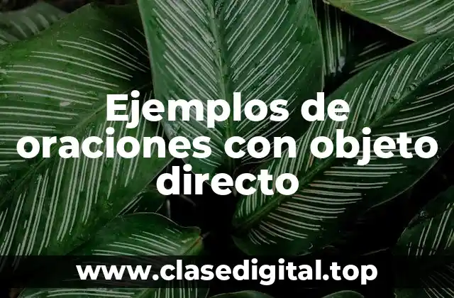 Ejemplos de oraciones con objeto directo