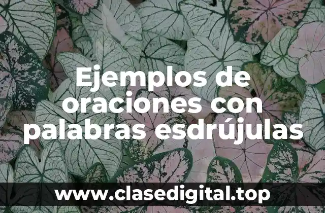 Ejemplos de oraciones con palabras esdrújulas