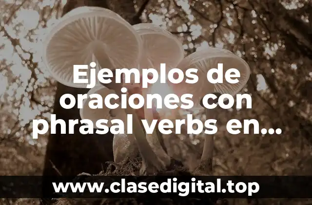 Ejemplos de oraciones con phrasal verbs en inglés y español y Significado