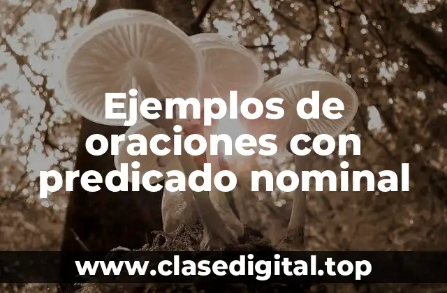 Ejemplos de oraciones con predicado nominal