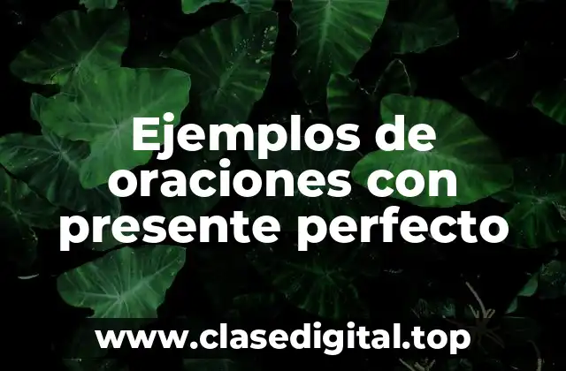 Ejemplos de oraciones con presente perfecto