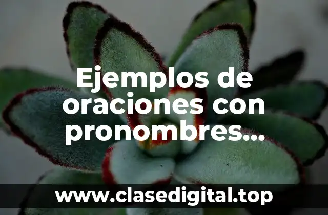 Ejemplos de oraciones con pronombres posesivos