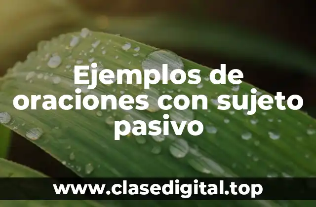 Ejemplos de oraciones con sujeto pasivo