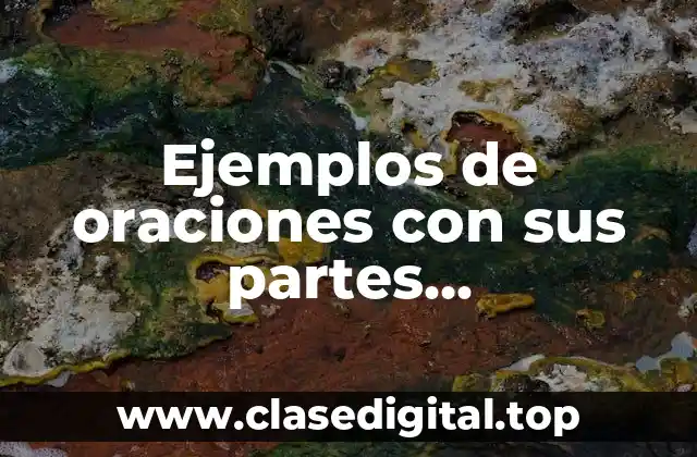 Ejemplos de oraciones con sus partes fundamentales