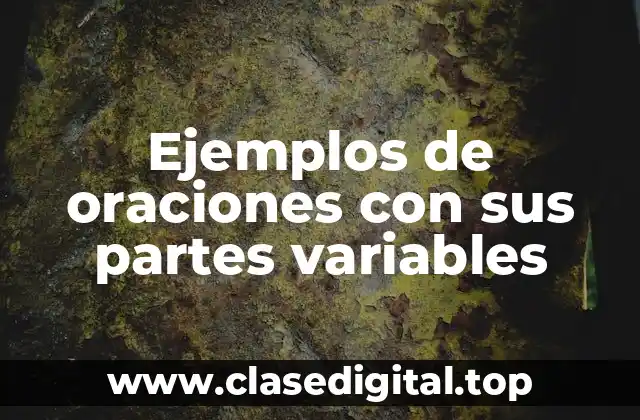 Ejemplos de oraciones con sus partes variables