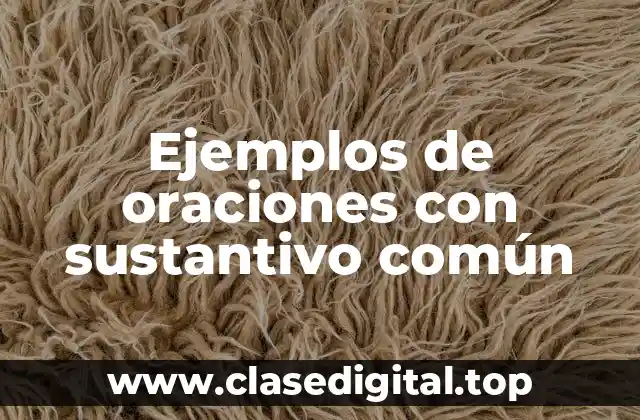 Ejemplos de oraciones con sustantivo común